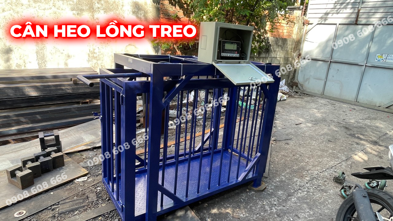 cân heo lồng treo tại phù cát bình định